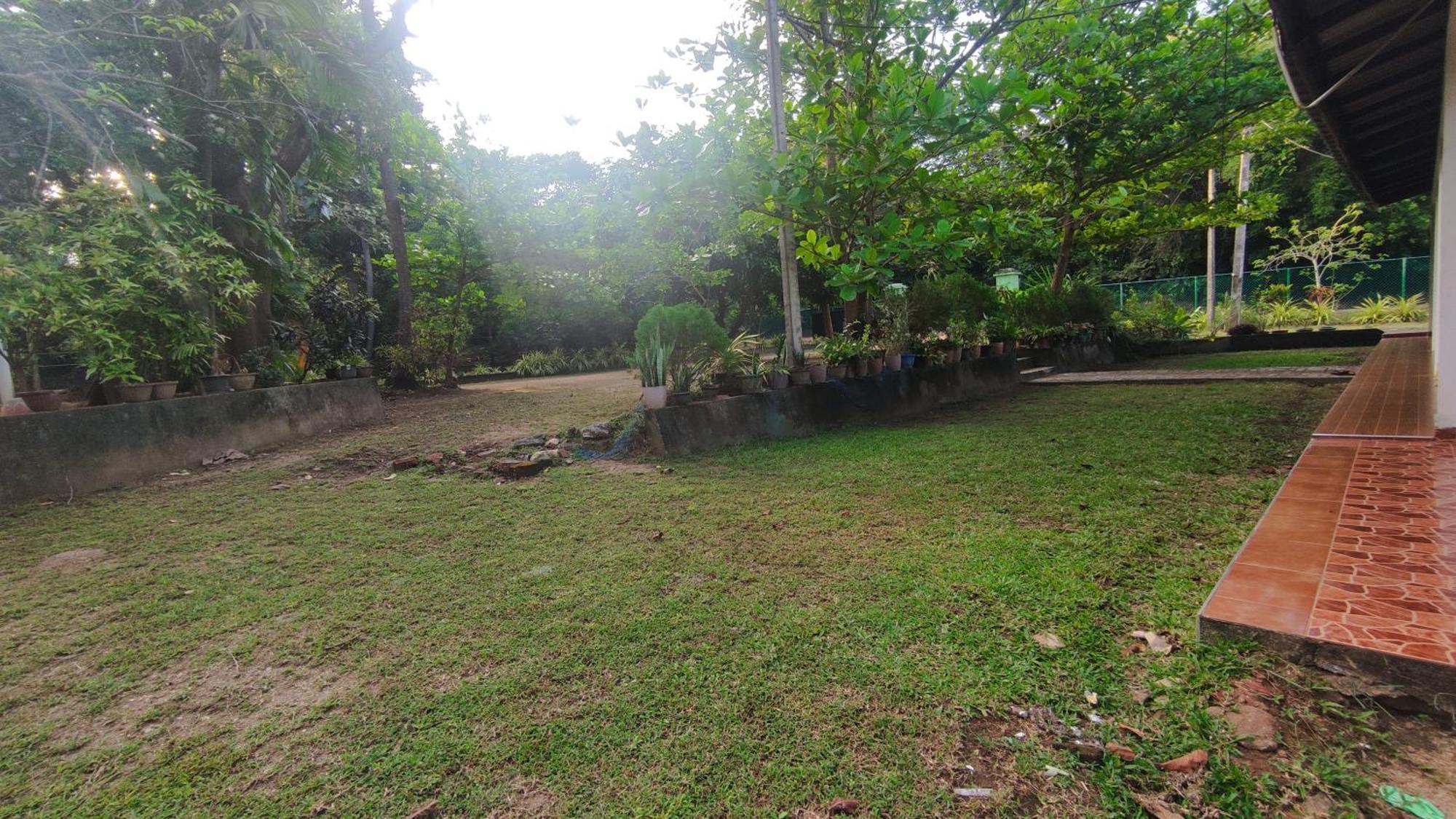 Deer Garden Guest Ξενοδοχείο Polonnaruwa Εξωτερικό φωτογραφία